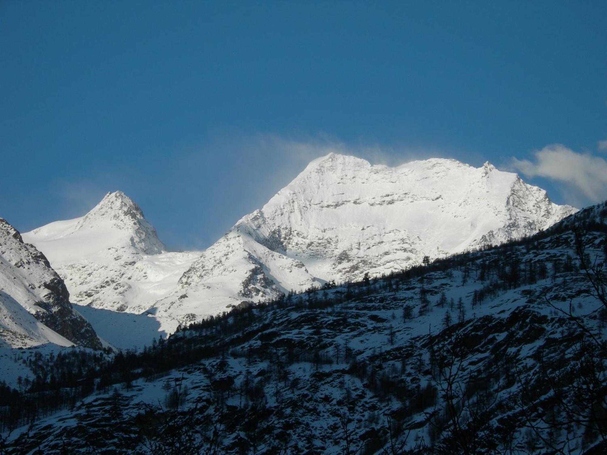 Adler Saas-Grund