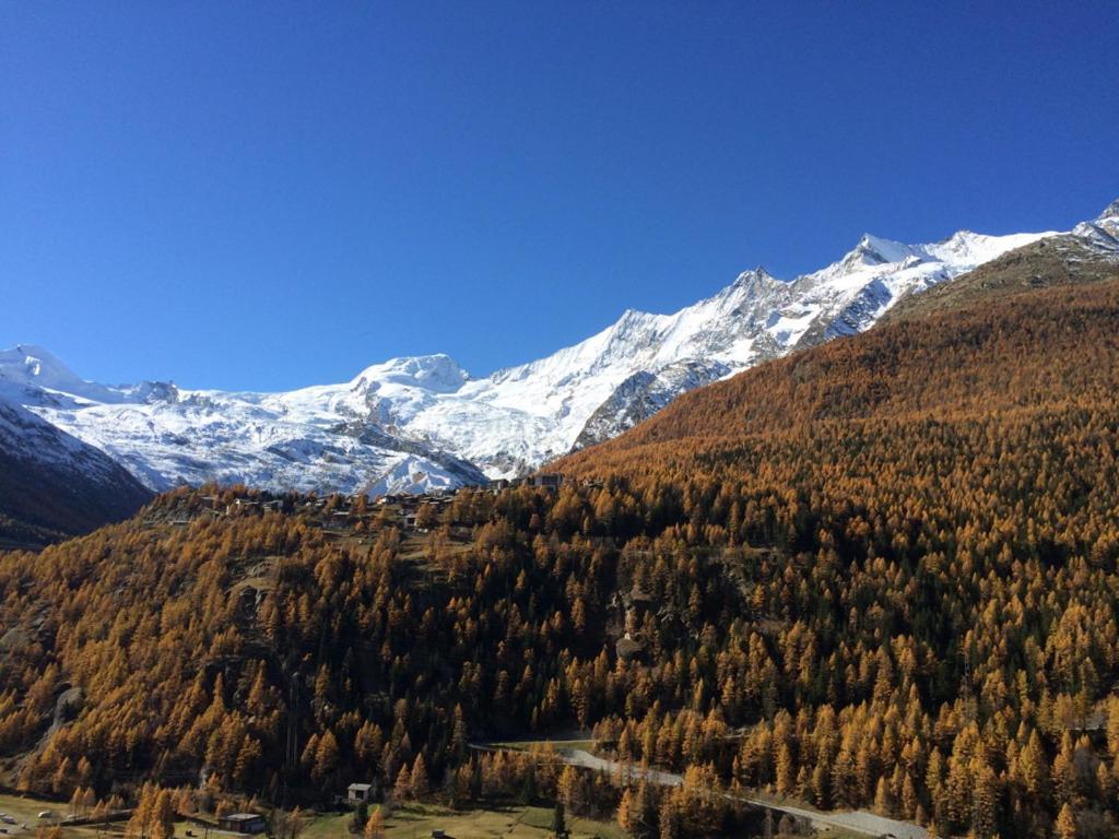 Hotel Adler 2*